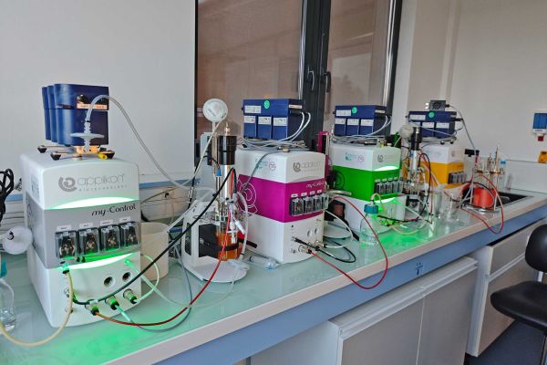 4 bioréacteurs 250 mL et 1 bioréacteur 1L ; permet de tester plusieurs conditions/paramètres en même temps.