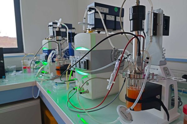 Les bioréacteurs/fermenteurs Applikon (250 mL et 1L) de paillasse de Getinge mis à disposition par Ferments du Futur et localisé à l’INRAE d’Aurillac