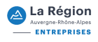 Logo Agence Auvergne-Rhône-Alpes-Entreprises