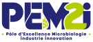 PEM2I